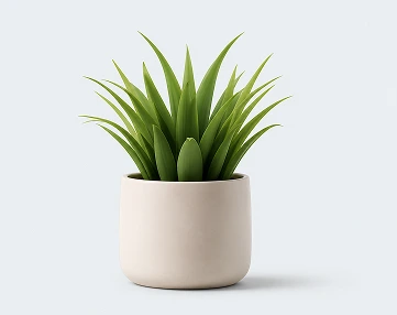 flower pot Web & Maintainance
